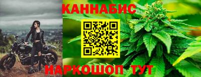 a pvp Брянск