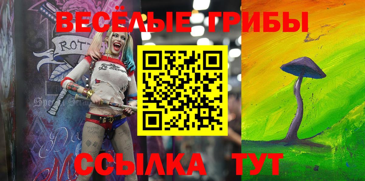 Галлюциногенные грибы Psilocybe  Вход с VPN  Александров 