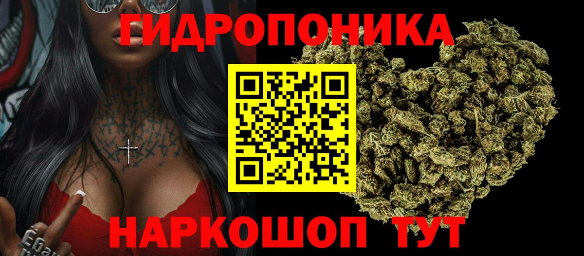 Бошки марихуана ГИДРОПОН  Канабис White Widow  Вход с VPN  Александров  Шишки марихуана ГИДРОПОН 